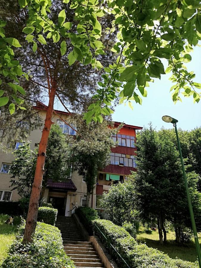 Rustic & Romantic Apartment Brassó Kültér fotó